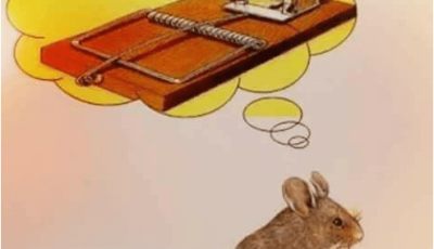 قصة الفأر و المصيدة